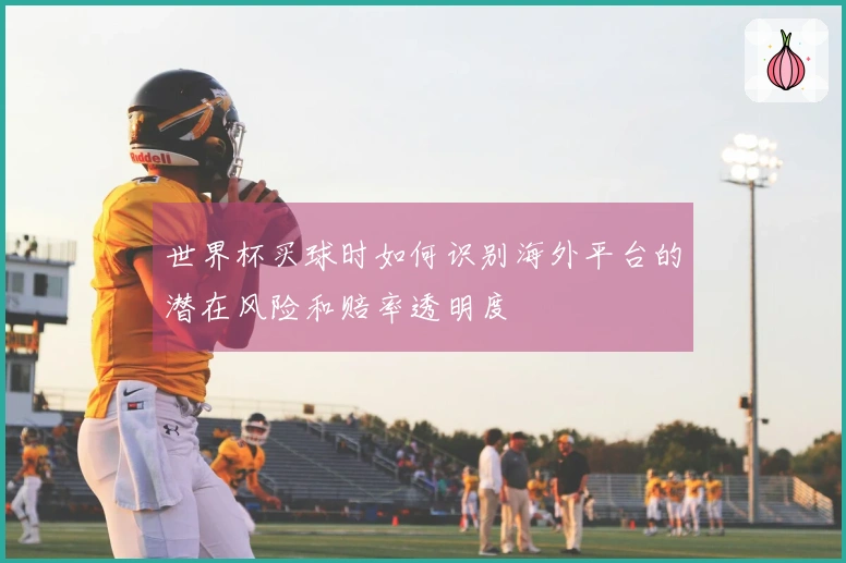 世界杯买球时如何识别海外平台的潜在风险和赔率透明度